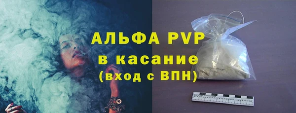 индика Бугульма