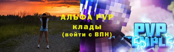 индика Бугульма