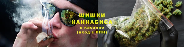индика Бугульма