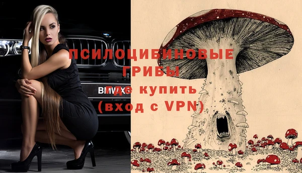 индика Бугульма