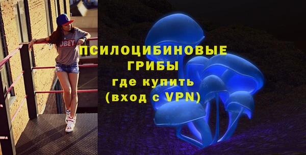 MDMA Бородино