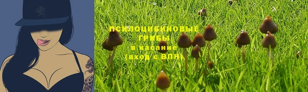 MDMA Бородино
