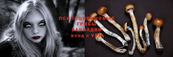 индика Бугульма